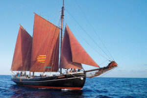 Quetx barco