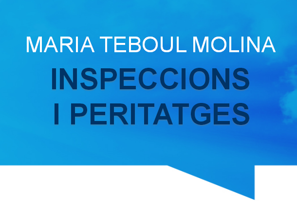 MARIA TEBOUL MOLINA – INSPECCIONS I PERITATGES