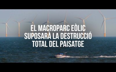 Informació Plataforma Stop Macro Parc Eòlic Marí