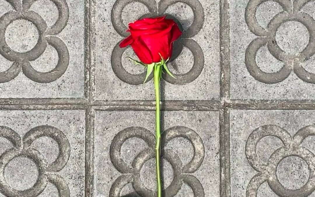 UNA BONA DIADA DE SANT JORDI