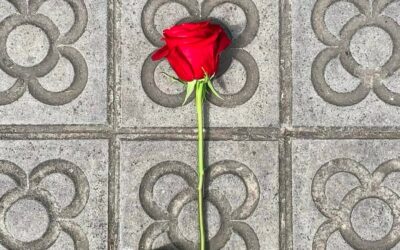 UNA BONA DIADA DE SANT JORDI