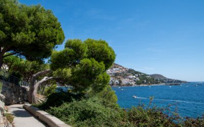 25 de setembre: Dia de la Costa Mediterrània i Dia Marítim Mundial – un moment per reivindicar el mar i la costa