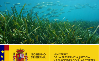 EL NOU REIAL DECRET 191/2026: PROTEGIR LES PRADERIES MARINES I LA NÀUTICA D’ESBARJO AL MEDITERRANI