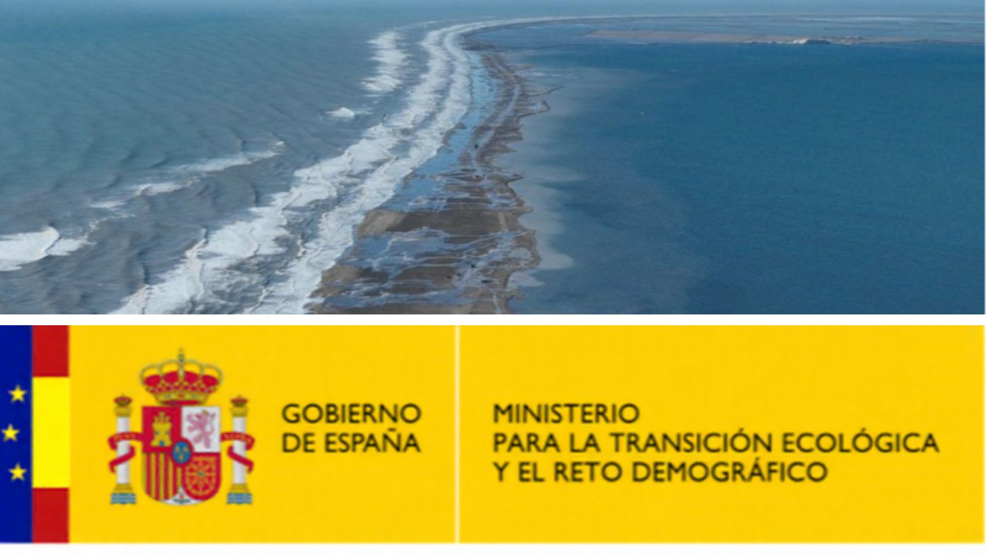 foto reglamento de costas