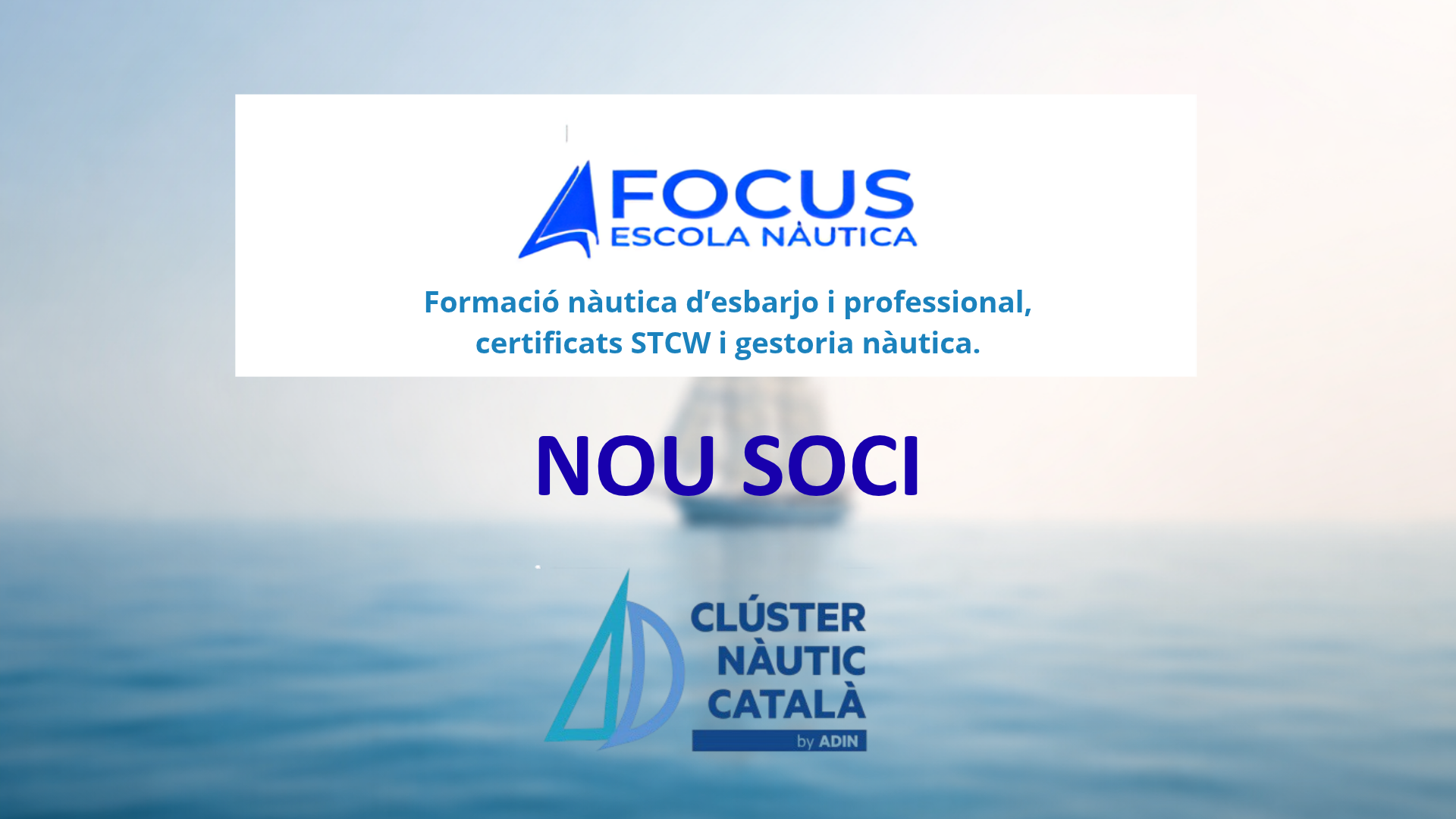 FOCUS soci