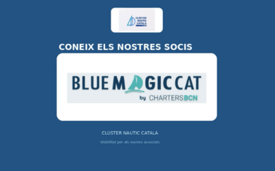 Coneix els nostres socis: Blue Magic Cat